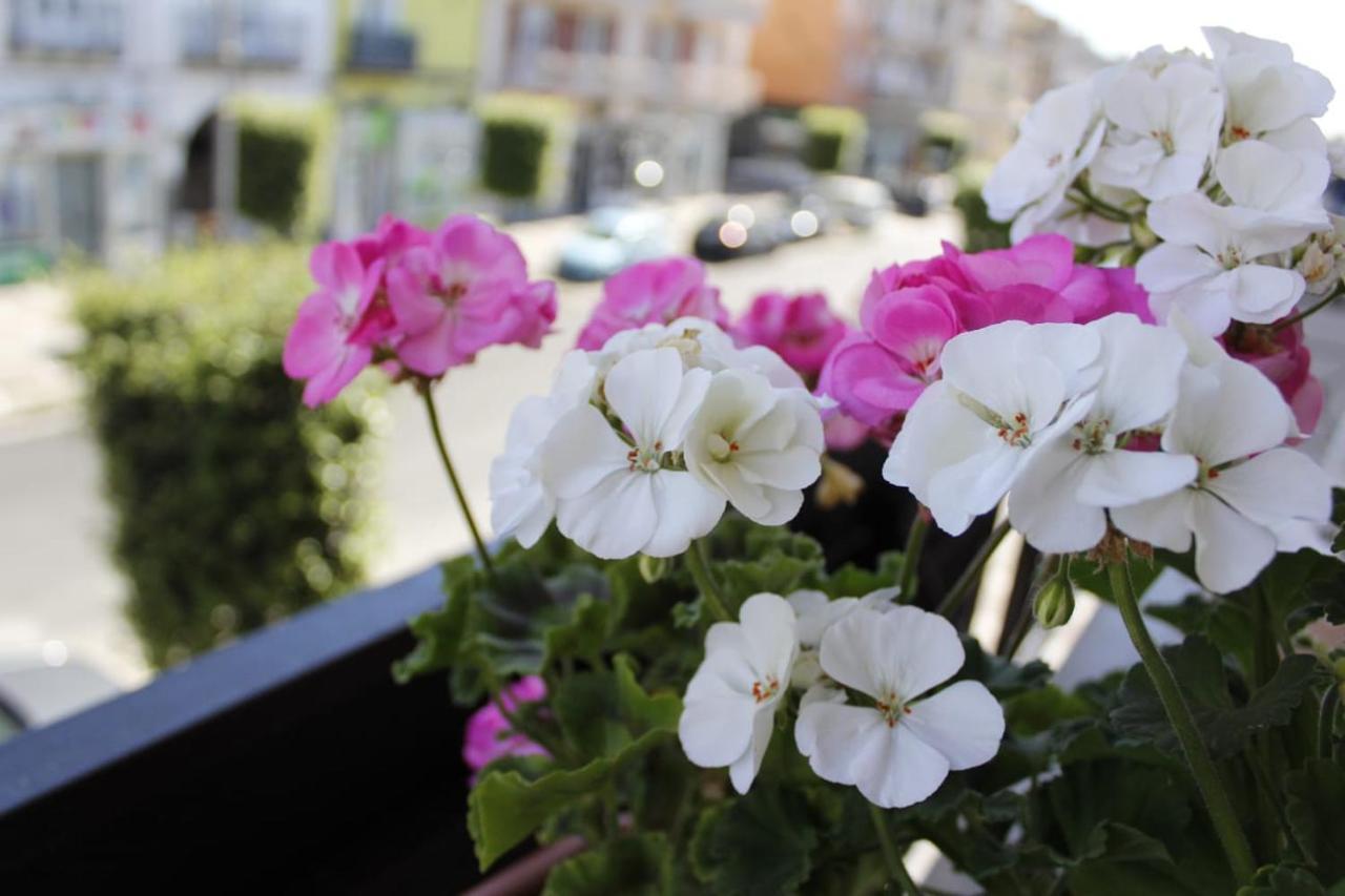 Bed and Breakfast Wisarelax Brusciano Exterior foto